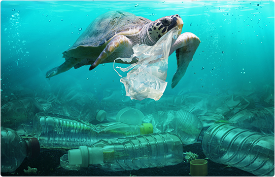 Черепашка в океане с пластиком